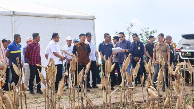 Kapolda Sulsel Tinjau Lokasi Kunjungan Kerja Kapolri dan Menteri Pertanian di Kabupaten Bone