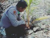 Polisi Peduli Penghijauan, Polsek Belopa Tanam Hingga Rawat Pohon