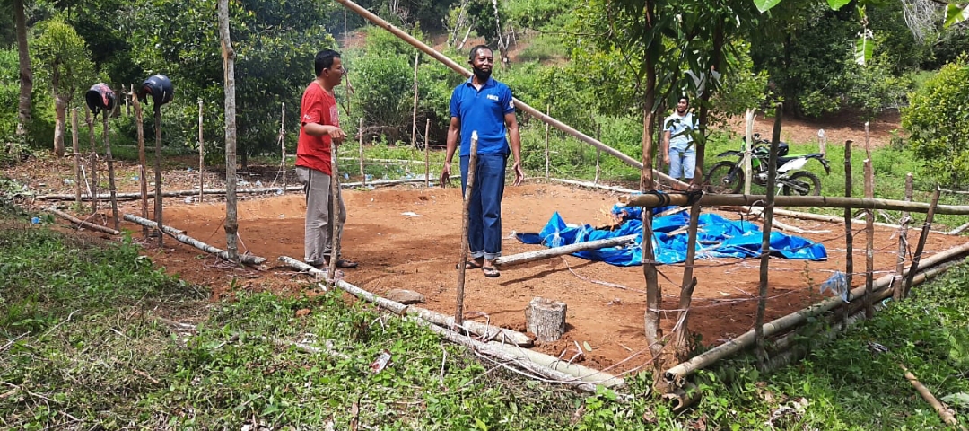 Kapolsek Belopa  Grebek Judi Sabung Ayam Ini Kronologisnya