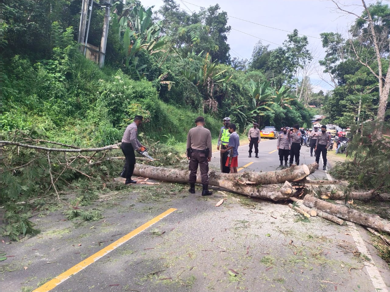Personil Polsek Makale melaksanakan pengamanan penebangan Pohon