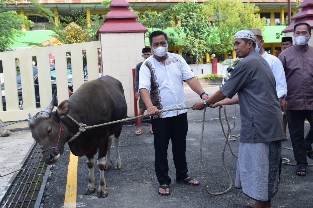 Hari Raya Qurban, Polres Sidrap Sembelih 9 Ekor Sapi