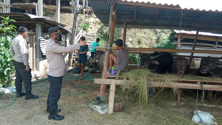 Personil Polsek Makale melakukan pembubaran Judi Sambung Ayam