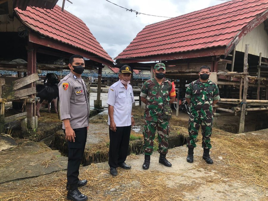Cegah Wabah PMK, TNI-POLRI Tetap Intens Di Pintu Masuk Pasar Hewan Bolu