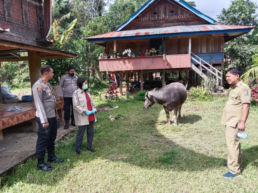 Kapolsek Sangalla Bersama Bhabinkamtibmas Dampingi Tim Vaksinasi Hewan Ternak