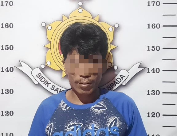 Aniaya Korbannya Hingga Tak Sadarkan Diri, Unit Resmob Polres Torut Langsung Amankan Pelaku