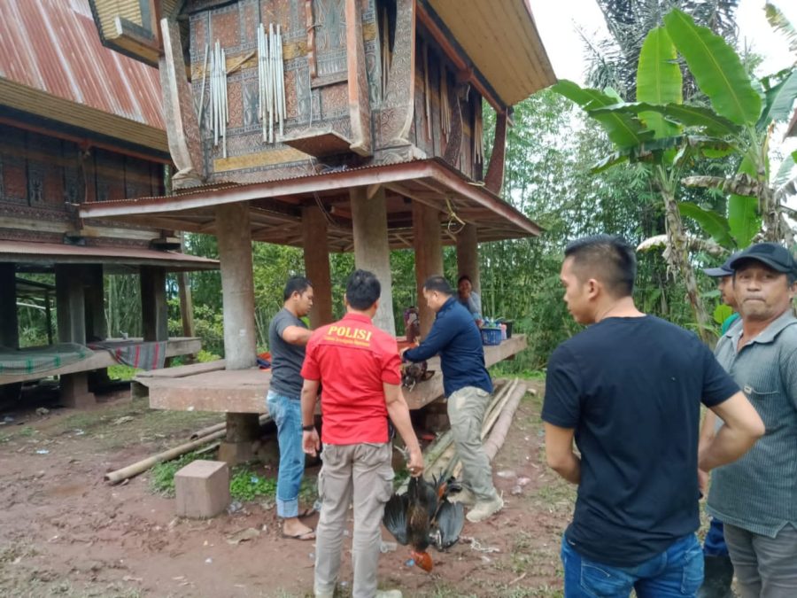 Gerebek 2 Lokasi Judi Sabung Ayam, Polisi Amankan Total 10 Ekor Ayam dan Taji