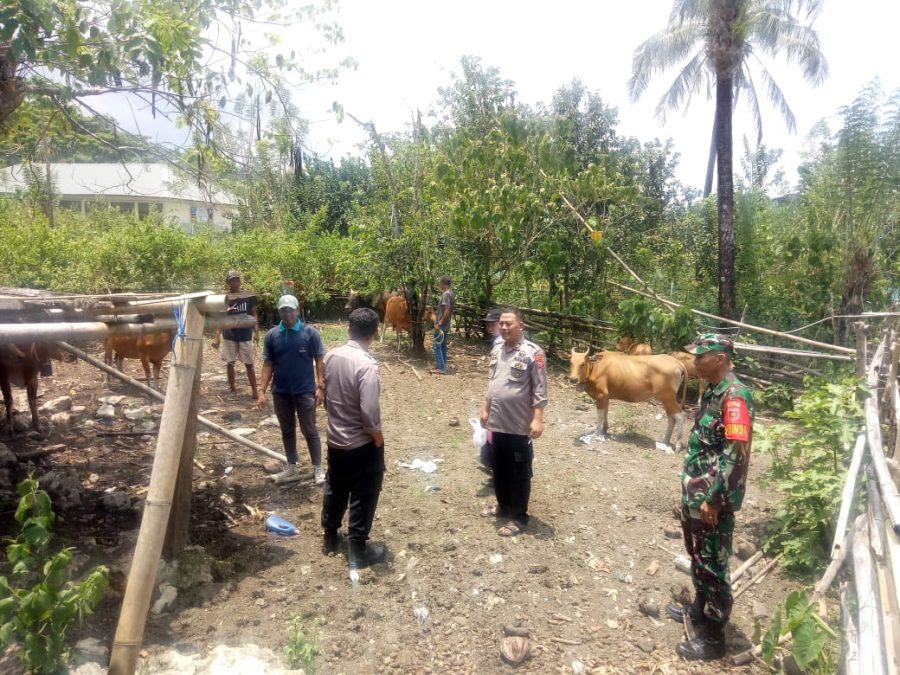 Kasat Binmas Polres Pangkep Bersama Bhabinkamtibmas Dan Babinsa Dampingi Tim Vaksinatior PMK Kabupaten Pangkep Laksanakan Vaksin Sapi Ternak Di Wilayah Kec. Segeri