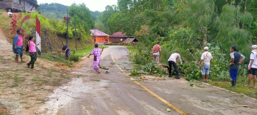 Kapolsek Tondon Nanggala Turun Langsung Evakuasi Pohon Tumbang