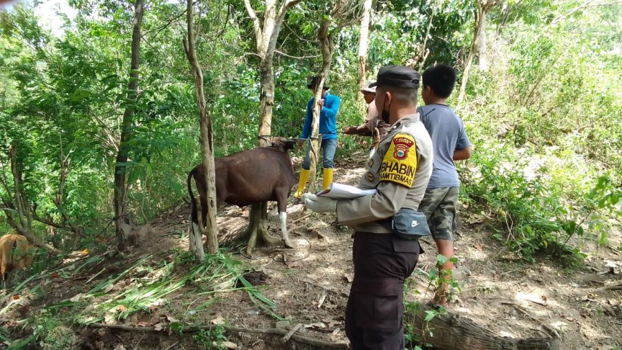 Sinergitas Bhabinkamtibmas bersama Babinsa dan Kepala Lembang (tiga pilar)