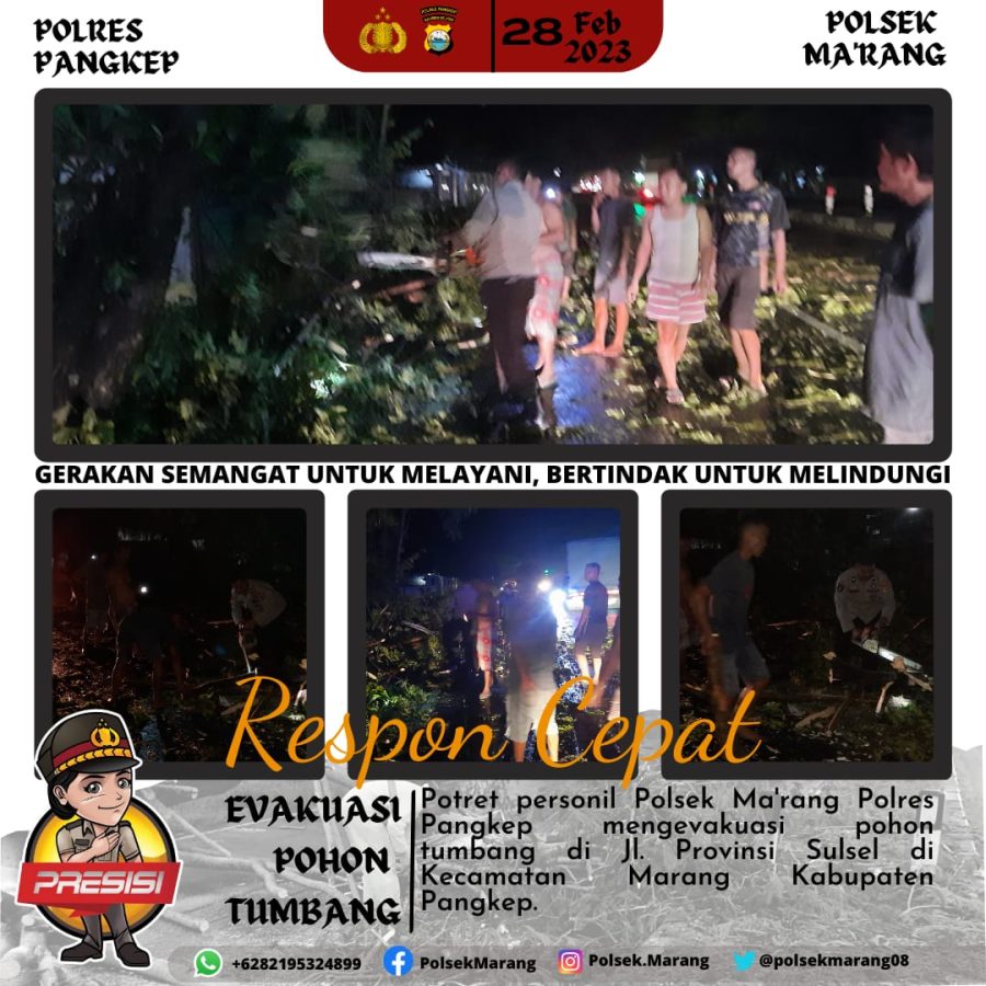 Patroli Blue Ligt Polsek Ma’rang Pangkep Temukan Pohon Tumbang Ke Jalan Provinsi, Ini Yang Dilakukan Bersama Warga ?