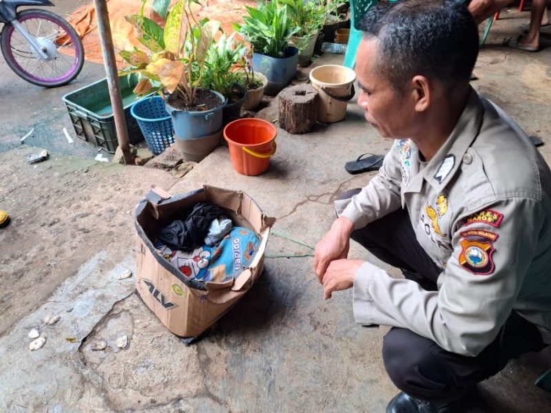 Warga Moncongloe Maros Digemparkan Penemuan Bayi di Tumpukan Sampah