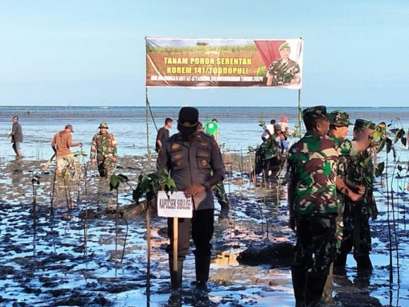 Koramil 1407-13/Sibulue dan Polsek Sibulue Bersatu dalam Kegiatan Penanaman Mangrove