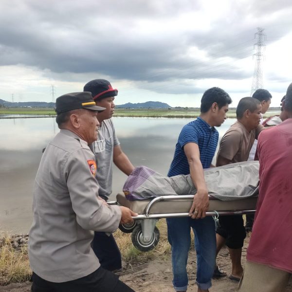 Aksi Cepat Kapolsek Maritengngae Evakuasi Mayat di Area Persawahan
