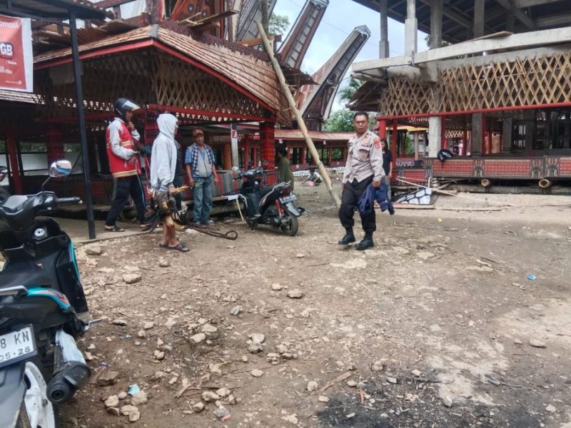 *Kapolsek Sesean Pimpin Langsung Penggerebek Judi Sabung Ayam, 4 Ekor Ayam Adu Berhasil Diamankan*