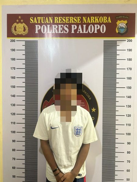 Sat Narkoba Polres Palopo mengamankan pelaku penyalahgunaan narkoba. Terduga pelaku berinisial AR