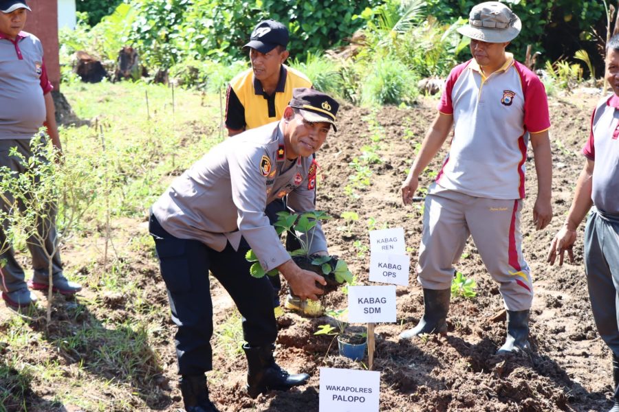 Giat penanaman bibit buah dan sayuran berlangsung di Polsek Wara Selatan