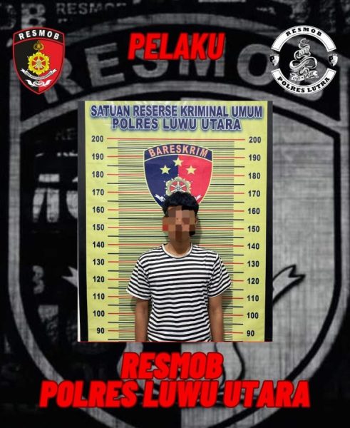 Pelaku Persetubuhan Anak di Luwu Utara Berhasil Diamankan Polisi