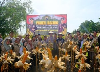 Kapolda Sulsel Hadiri Panen Jagung Program Ketahanan Pangan di Kabupaten Wajo
