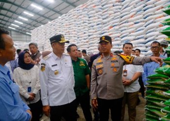 Kapolda Sulsel dan Pj Gubernur Kunjungi Gudang Bulog Sulsel untuk Pantau Stok Pangan