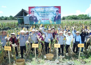 Kapolda Sulsel Panen Jagung di Bulukumba dalam Program Ketahanan Pangan