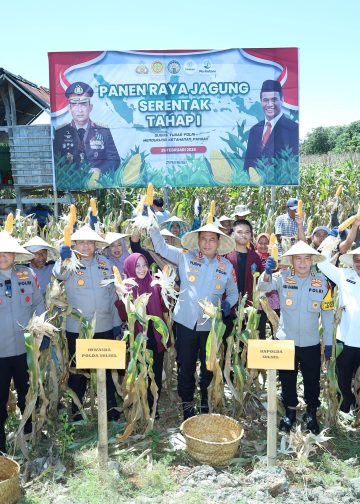 Kapolda Sulsel Panen Jagung di Bulukumba dalam Program Ketahanan Pangan