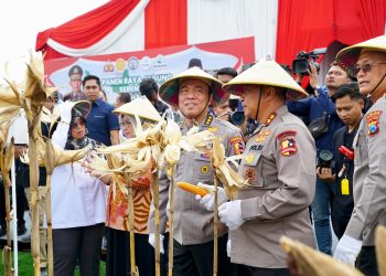 Irwasum Polri Pimpin Panen Jagung Serentak di Madiun,Wujudkan Astacita