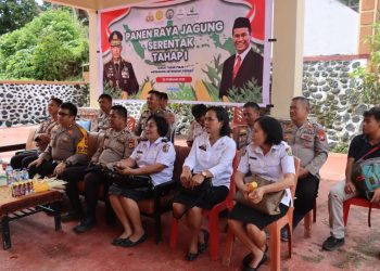 Dihadiri Pihak Terkait, Polres Toraja Utara Gelar Panen Raya Jagung Serentak Tahap I
