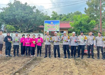 Kapolres Palopo Pimpin Kegiatan Penanaman Sayur di Pekarangan Pangan Lestari 