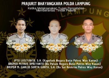 3 Anggota Polres Way Kanan Gugur Saat Bertugas Gerebek Judi Sabung Ayam