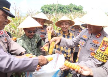 Kapolres Parepare Hadir Ditengah Petani, Dukungan Ketahanan Pangan Nasional