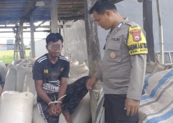 Aksi Pencurian Tujuh Karung Gabah di Bone Berakhir dengan Penangkapan