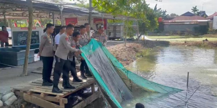 Dukung Ketahanan Pangan, Kapolda Sulsel Lepas 20 Ribu Ekor Bibit Ikan Nila