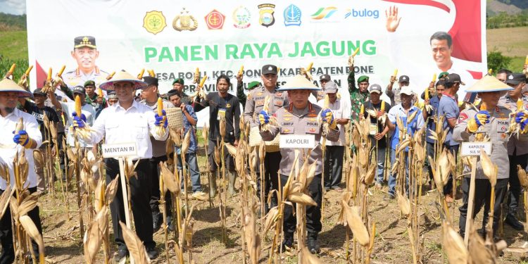 Kapolri-Mentan Panen Raya Jagung di Bone, Dukung Program Ketahanan Pangan Nasional