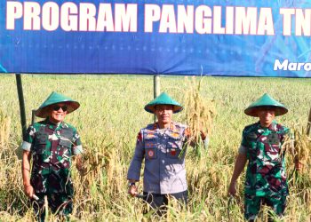 Kapolda Sulsel Hadiri Panen Raya Demplot Padi Sinar Mentari Kodam XIV/Hsn di Maros