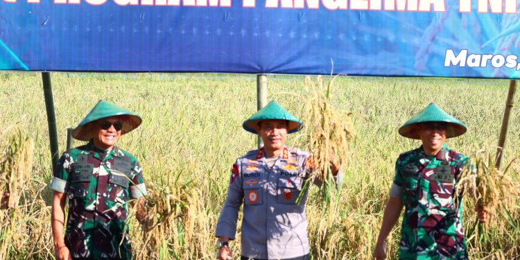 Kapolda Sulsel Hadiri Panen Raya Demplot Padi Sinar Mentari Kodam XIV/Hsn di Maros