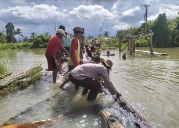 Wujud Kepedulian,Bhabinkamtibmas Polsek Malangke Barat Gotong Royong Bangun Jembatan Antar Desa