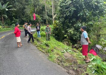Kecelakaan tunggal truk masuk halaman rumah warga ini pernyataan polres palopo