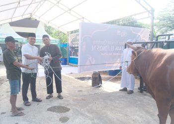 Wakapolda Sulsel Serahkan dan Saksikan Pemotongan Hewan Qurban pada Idul Adha 1446 H/2025 M