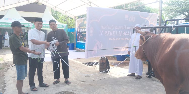 Wakapolda Sulsel Serahkan dan Saksikan Pemotongan Hewan Qurban pada Idul Adha 1446 H/2025 M