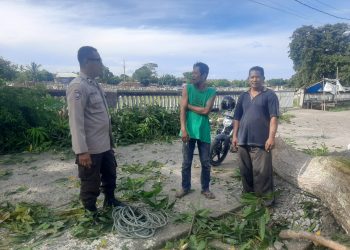 Bhabinkamtibmas Kelurahan Pallameang Giat DDS, Imbau Warga Aktif Jaga Keamanan Lingkungan