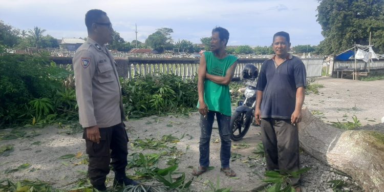 Bhabinkamtibmas Kelurahan Pallameang Giat DDS, Imbau Warga Aktif Jaga Keamanan Lingkungan