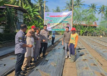 Bhabinkamtibmas Desa Mallongi Longi Tanam 1000 Bibit Cabai, Dukung Pengendalian Inflasi Daerah