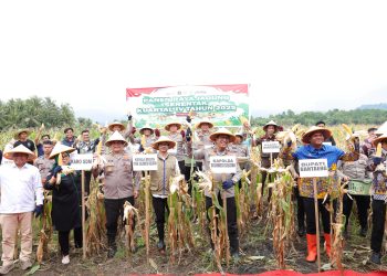 Kapolda Sulsel Hadiri Panen Raya Jagung Serentak Kuartal I 2026 di Kab. Bantaeng, Tegaskan Peran Polri Dukung Ketahanan Pangan Nasional